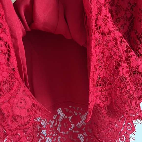 J Crew Red Lace Sheath Dress - Picture 6 of 11